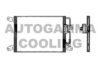 AUTOGAMMA 101739 Condenser, air conditioning